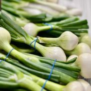 Fresh Spring Onions (Large)