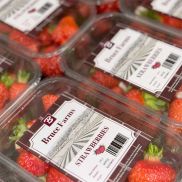Fresh Strawberries Bruces 