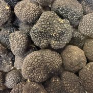Fresh Summer Truffles