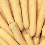 Fresh Carrots White