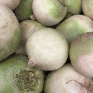 Fresh Meat Radish Red