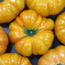 Fresh Tomatoes Pineapple