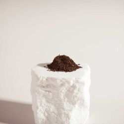 Vanilla Labs Whole-Pod Vanilla Powder