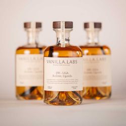 Vanilla Labs Precision Cured Vanilla Syrup