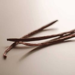 Vanilla Labs Precision-Cured Vanilla Pods (17cm Min.)