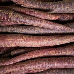 Fresh Carrots Purple