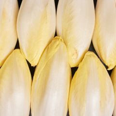 Fresh Chicory White