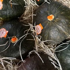 Fresh Delicia Squash (Small)