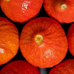 Fresh Potimarron Squash